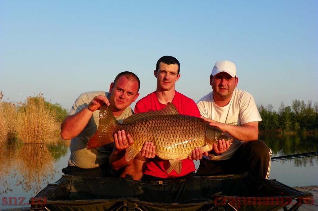 Trofeul tancabesti 2013 - 1012362.jpg